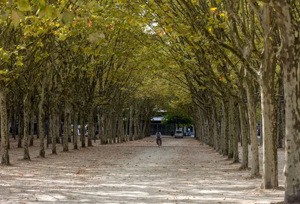Bordeaux, Fransa - 9 Eylül 2018: Place des Quinconces, Bordeaux France boyunca yeşil ağaçlarla kaplı bir halk bahçesi.
