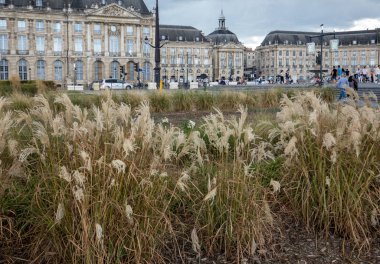 Bordeaux, Fransa - 9 Eylül 2018: Place de la Bourse, Bordeaux, Fransa