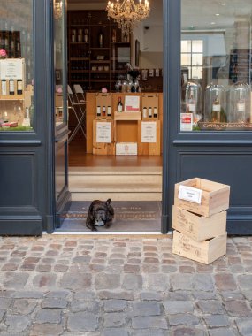St Emilion, Fransa - 11 Eylül 2018: Saint Emilion'daki şarap dükkanı bir köpek tarafından korunuyor. St Emilion Bordeaux ve çok popüler turistik başlıca kırmızı şarap alanlarından biridir.