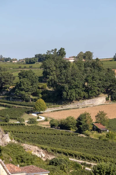 フランスのボルドー近郊のサン エミリオンの町で有名なフランスのブドウ畑 サンテミリオンはボルドーの主要な赤ワイン産地の1つで 非常に人気のある観光地です — ストック写真
