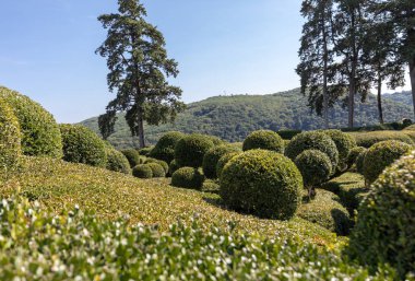 Dordogne, Fransa - 3 Eylül 2018: Jardins de Marqueyssac Fransa'nın Dordogne bölgedeki bahçelerde budama sanatı