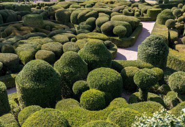   Jardins de Marqueyssac Fransa'nın Dordogne bölgedeki bahçelerde budama sanatı