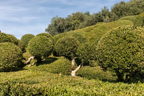 Dordogne Fransa Eylül 2018 Jardins Marqueyssac Fransa Nın Dordogne Bölgedeki — Stok fotoğraf