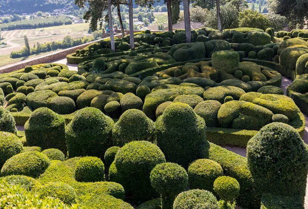 Dordogne Frankrike September 2018 Topiary Trädgårdarna Jardins Marqueyssac Regionen Dordogne — Stockfoto