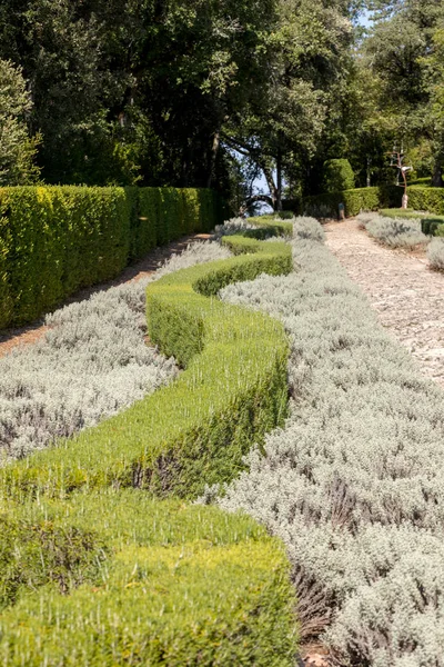 Ogrodów Jardins Marqueyssac Regionie Dordogne Francji — Zdjęcie stockowe