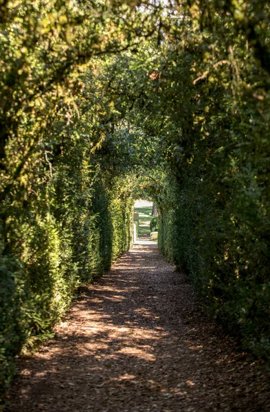 法国Dordogne地区Jardins Marqueyssac花园的植物隧道 — 图库照片