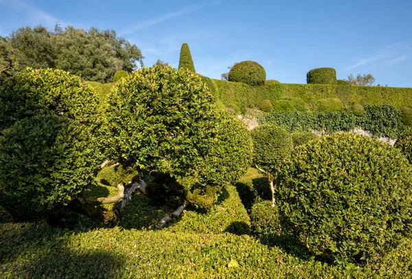 Топиар Садах Отеля Jardins Маркиссак Регионе Дордонь Франция — стоковое фото