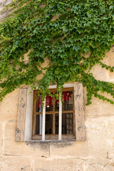 wall of a house  overgrown with Ivy in Les Baux de Provence. Bouches du Rhone, Provence, France