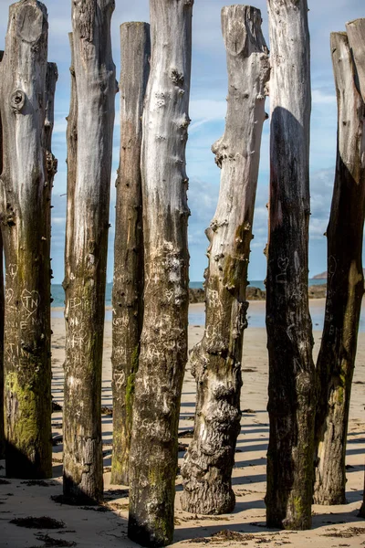 Великий Breakwater 3000 Стовбурів Щоб Захистити Місто Від Припливів Plage — стокове фото