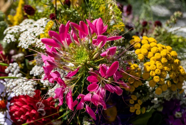 Yaz sembolü olan çiçek, otlar ve meyvelerin Çiçekbuketi