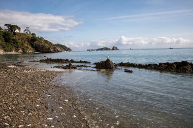 Cancale 'de istiridye kabukları ile sahil. Brittany, Fransa,