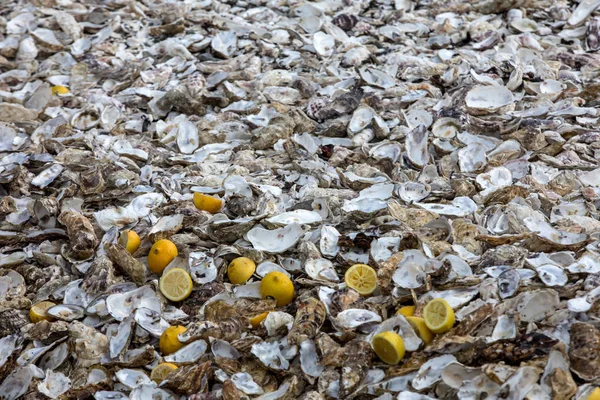 Duizenden Lege Schelpen Van Opgegeten Oesters Weggegooid Zeebodem Cancale Beroemd — Stockfoto