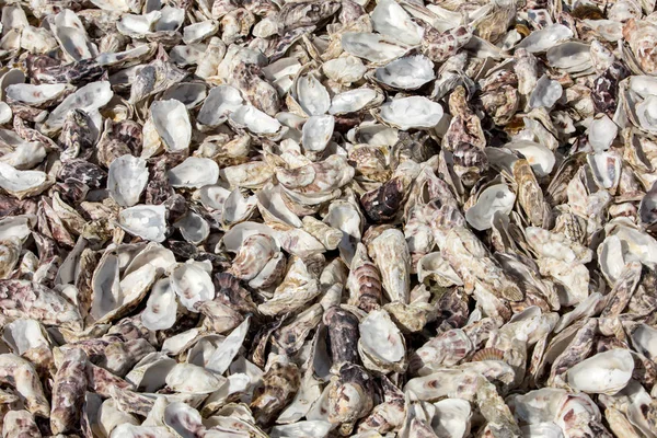 Migliaia Gusci Vuoti Ostriche Mangiate Scartate Sul Fondo Del Mare — Foto Stock