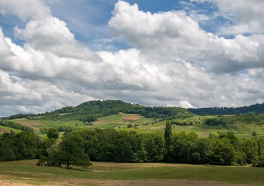 Fransa, Jura, Arbois, Pupillin komünü üzüm bağı manzara, Jura şarap ünlü terroir