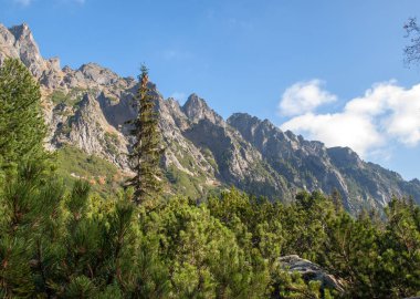 Vysoke Tatry 'deki Büyük Soğuk Vadi (High Tatras), Slovakya. Büyük Soğuk Vadi 7 km uzunluğundadır ve turistler için çok çekicidir.