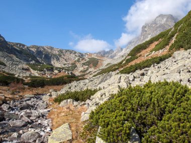 Vysoke Tatry 'deki Büyük Soğuk Vadi (High Tatras), Slovakya. Büyük Soğuk Vadi 7 km uzunluğundadır ve turistler için çok çekicidir.
