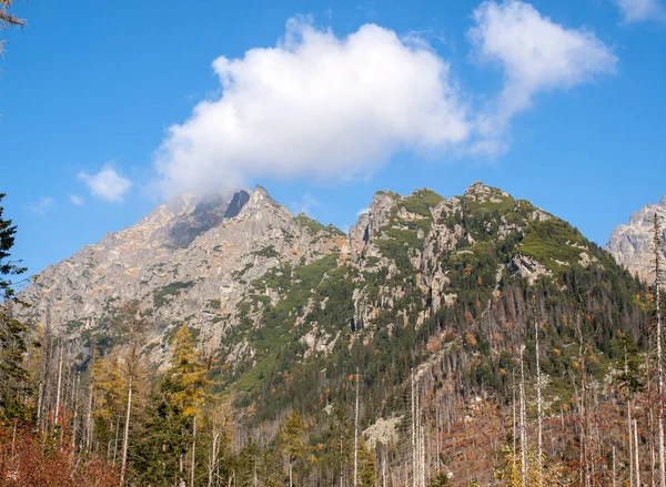 Gran Valle Frío Vysoke Tatry Alto Tatras Eslovaquia Gran Valle —  Fotos de Stock