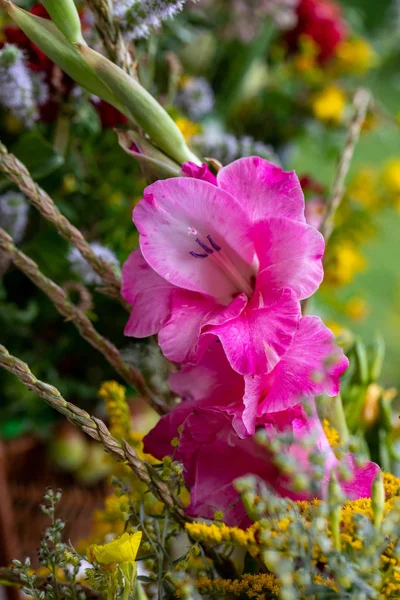 Bouquet Florístico Flores Ervas Frutas Que São Símbolo Verão — Fotografia de Stock