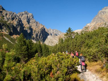 Vysoke Tatry, Slovakya - 11 Ekim 2018: Beş Spis Gölü Vadisi'nde yürüyüşçüler. High Tatra Dağları, Slovakya.