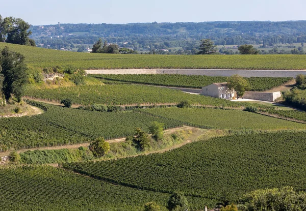Beroemde Franse Wijngaarden Saint Emilion Bij Bordeaux Frankrijk Emilion Een — Stockfoto