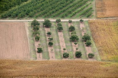 Alanları ve çayırlar Domme, Dordogne, Fransa eski şehir duvarlarından Dordogne Vadisi'nde görünümü