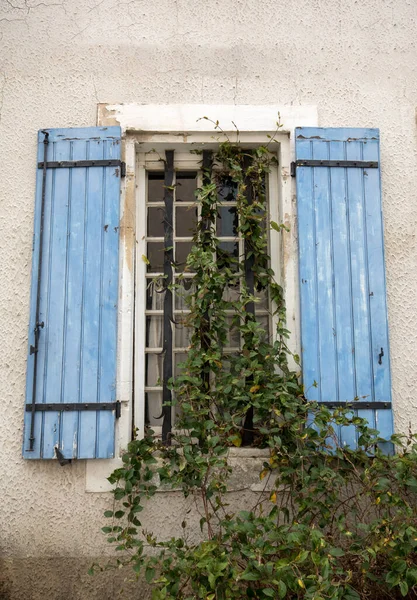プロヴァンスの青いシャッターと家の壁のクライミング ローズ — ストック写真