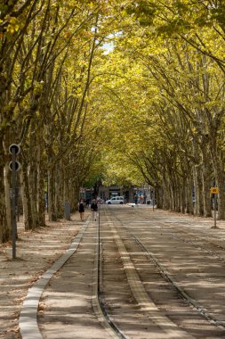 Bordeaux, Fransa - 9 Eylül 2018: Place des Quinconces, Bordeaux France boyunca yeşil ağaçlarla kaplı bir halk bahçesi.