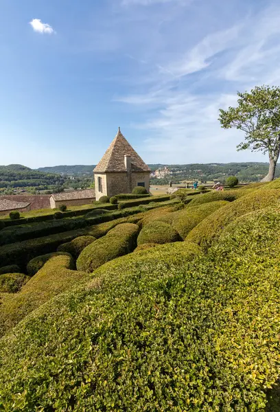 Dordogne França Setembro 2018 Topiário Nos Jardins Dos Jardins Marqueyssac — Fotografia de Stock