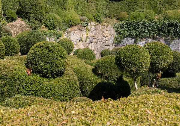 Дордонь Франция Сентября 2018 Года Топиарий Садах Jardins Marqueyssac Регионе — стоковое фото