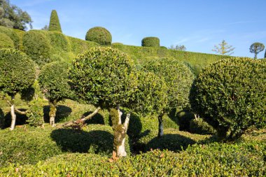  Jardins de Marqueyssac Fransa'nın Dordogne bölgedeki bahçelerde budama sanatı