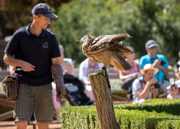 Milandes Francia Septiembre 2018 Los Turistas Están Viendo Espectáculo Aves —  Fotos de Stock