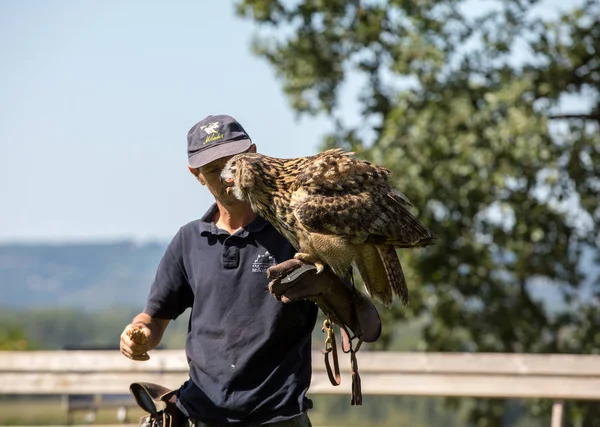 Milandes Francia Septiembre 2018 Espectáculo Aves Rapiña Chateau Des Milandes —  Fotos de Stock