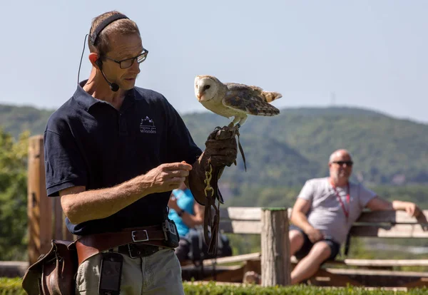 Milandes Francia Septiembre 2018 Los Turistas Están Viendo Espectáculo Aves —  Fotos de Stock