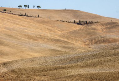 Tuscany kırsal manzara. İtalya