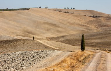 Tuscany kırsal manzara. İtalya