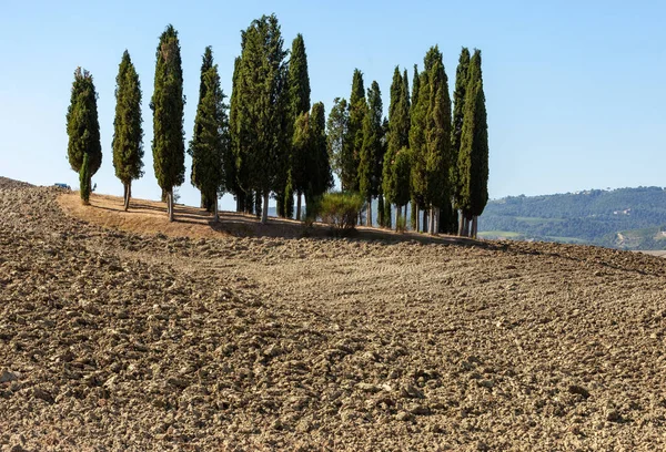 Die Ländliche Landschaft Der Toskana Italien — Stockfoto