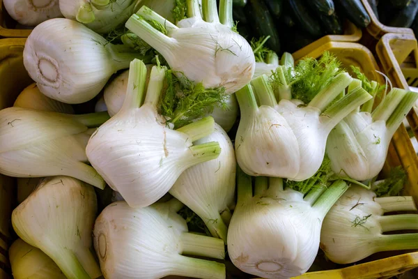 Bulbes Fenouil Frais Dans Marché Fermier Italie — Photo