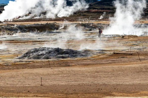 Паруючі Вулканічні Басейни Гверирі Міватн Нордхурленд Ейстра Ісландія — стокове фото