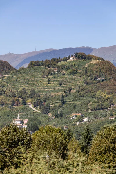 意大利 巴尔多比亚迪内和科内利亚诺之间 有美丽的普罗塞科葡萄园的风景秀丽的山丘 — 图库照片