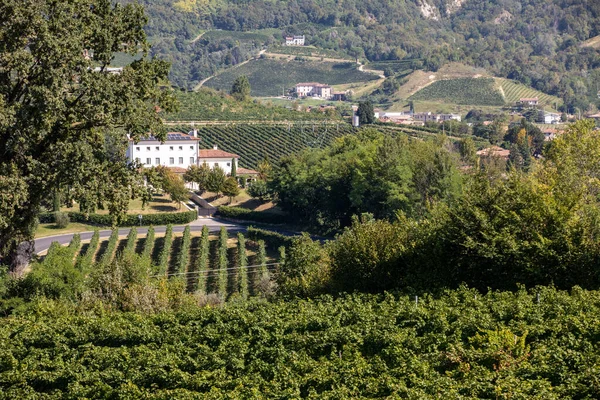 ValdobbiadeneとConegliano イタリアの間のプロセッコスパークリングワイン地域のブドウ畑と美しい丘 — ストック写真