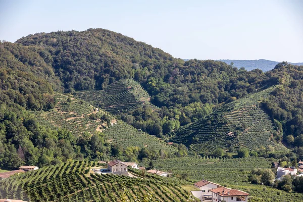 Picturesque Hills Vineyards Prosecco Sparkling Wine Region Santo Stefano Italy — Stock Photo, Image
