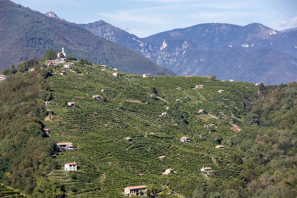 Colline Pittoresche Con Vigneti Della Regione Spumante Del Prosecco Guietta — Foto Stock