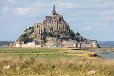 Yazın mavi gökyüzünün altında Mont Saint-Michel gelgit adasının yakınındaki tuz çayırlarında otlayan bir koyun sürüsü. Le Mont Saint Michel, Fransa