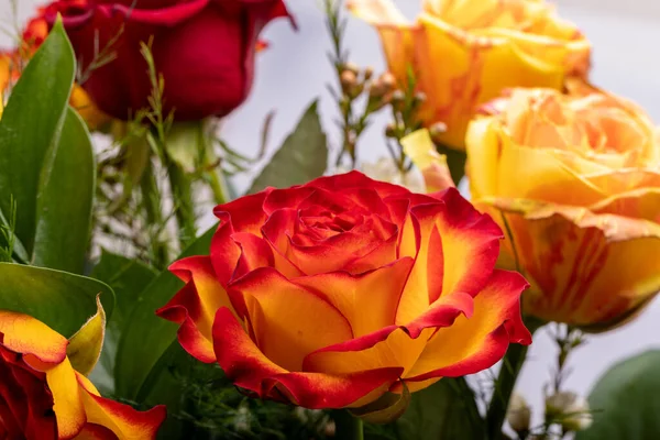 Beau Bouquet Roses Colorées — Photo