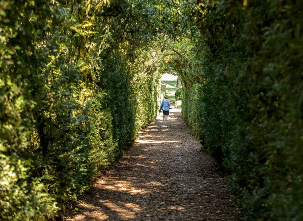 法国多多尼 2018年9月3日 法国多多尼地区 Jardins Marqueyssac 花园的植物隧道 — 图库照片