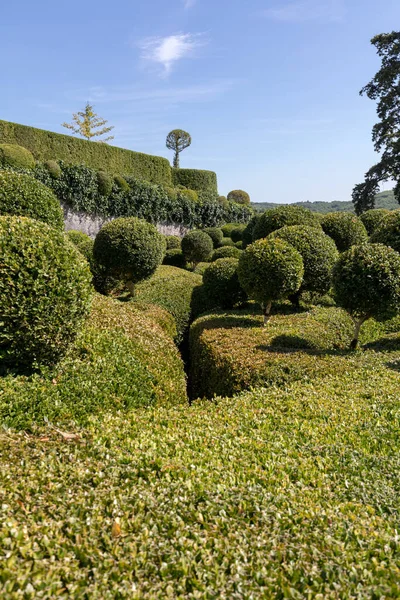 Дордонь Франция Сентября 2018 Года Топиарий Садах Jardins Marqueyssac Регионе — стоковое фото