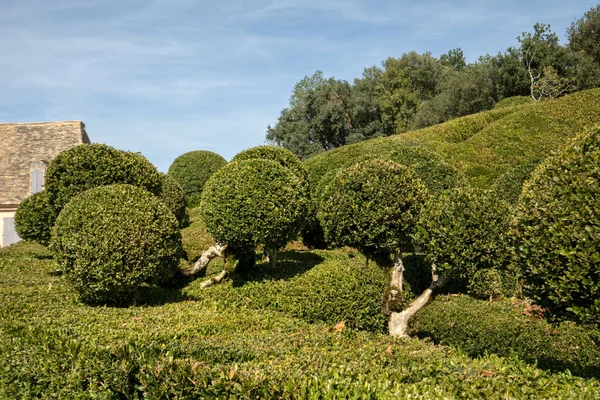 Dordogne Frankrijk September 2018 Topiary Tuinen Van Jardins Marqueyssac Dordogne — Stockfoto