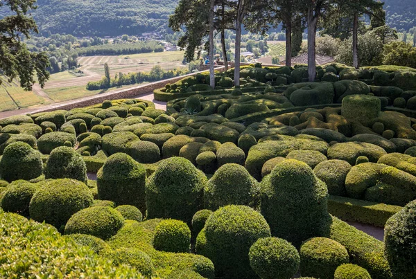 Dordogne Francia Septiembre 2018 Topiary Gardens Jardins Marqueyssac Dordogne Region —  Fotos de Stock