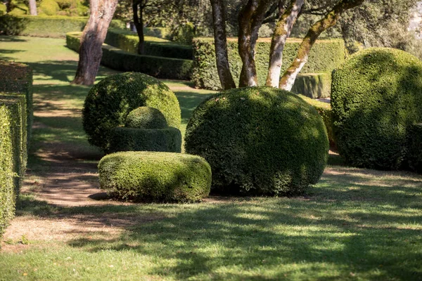 Topiary Gardens Jardins Marqueyssac Dordogne Region France — Stock Photo, Image