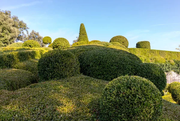 Топиар Садах Отеля Jardins Маркиссак Регионе Дордонь Франция — стоковое фото